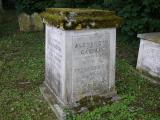 image of grave number 696378
